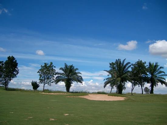 Golf Course Image