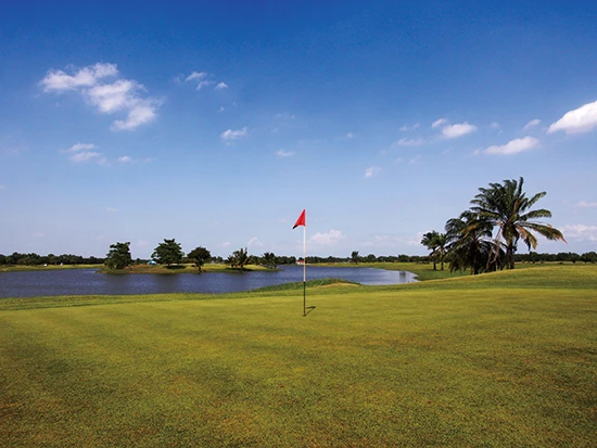 Golf Course Image