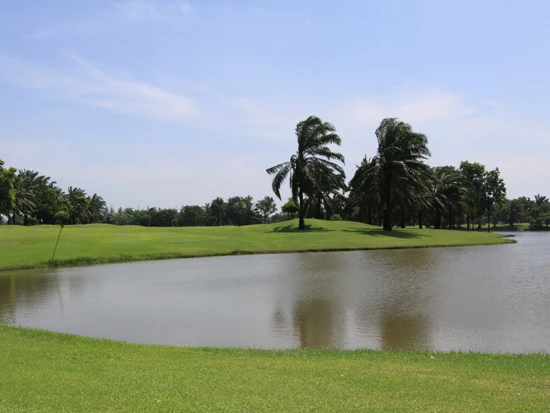 Golf Course Image