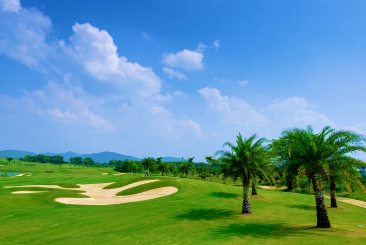 Golf Course Image