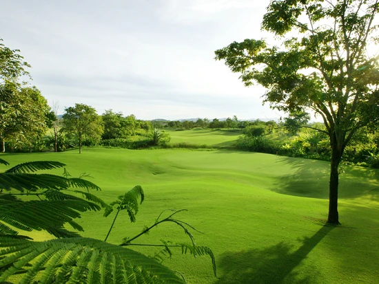 Golf Course Image